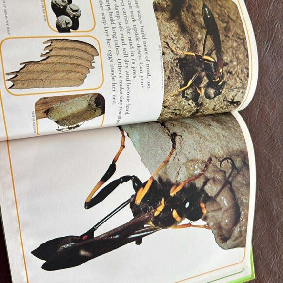 Vintage National geographic Books For Young Explorlers Set of 6 - Picture 16 of 16